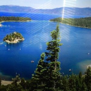 Meet your Posher, Darlene